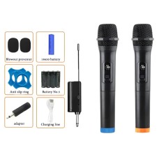 Dual Wireless Microphone Set